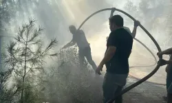 Antalya'da Yerleşim Yerlerine Yakın Orman Yangını: Ekipler Havadan ve Karadan Müdahale Ediyor Antalya Alanya`da, yerleşi