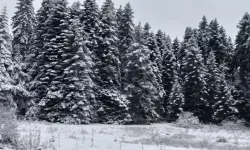 Bolu’nun Yüksek Kesimleri Beyaza Büründü