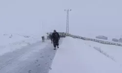 Yaylada Kardan Mahsur Kalan Çoban ve Sürüsü Kurtarıldı