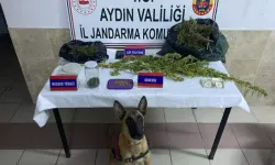 Aydın'da 3 Kilo Esrarla Yakalanan Şahıs Gözaltına Alındı