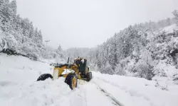 Rize'de Kar Yağışı Nedeniyle 21 Köy Yolu Ulaşıma Kapandı