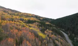 Erzincan’da Sonbahar Güzelliği