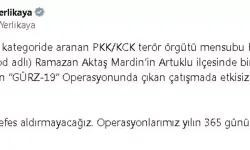 Kırmızı Kategoride Aranan PKK/KCK'lı Terörist Mardin'de Etkisiz Hale Getirildi