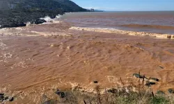 Rize'de Sağanak Sonrası Çamurlu Su Nedeniyle Denizin Rengi Değişti