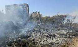 Ot Çalılık Yangının Antalya'da Hızlı Müdahale ile Söndürülmesi