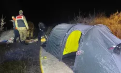 İngiliz Turist, Nemrut'ta Ayıların Saldırısına Uğradı