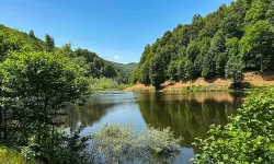 Yazın Son Günlerinde Erbaa’da Piknik Coşkusu!