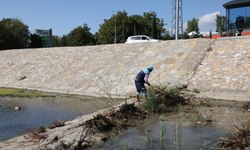 Tokat’ta Yeşilırmak Nehri’nde Temizlik ve İlaçlama Çalışmaları Devam Ediyor