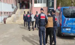 Tokat'ta Küçükbaş Hayvan Hırsızlığı