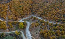 Tokat Valisi Abdullah Köklü, Artova-Pazar Yol Çalışmalarını İnceledi