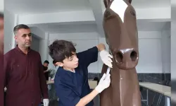 Liseliler Maket Modellerle Hayvan Sağlığını Öğreniyor