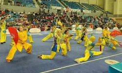 Wushu Türkiye Şampiyonası, Sakarya'da Başladı