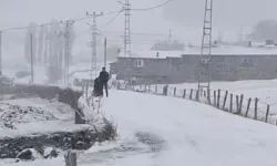 Ardahan'ın Yüksek Kesimlerinde Kar Yağışı ve Tipi Hayatı Olumsuz Etkiledi