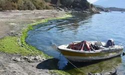 Bafa Gölü'ndeki Kirlilik ve Suda Çekilme TBMM Heyetince İncelendi