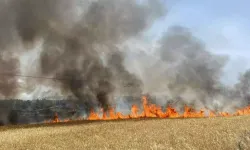 'Anız Yakımı, Hem Orman Yangına Hem Erozyona Yol Açıyor'