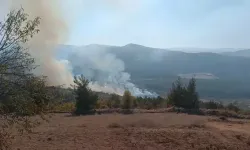 Bursa’nın Büyükorhan ve Karacabey İlçelerinde Orman Yangını: Müdahale Devam Ediyor