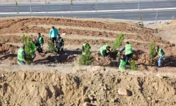 Sivas Belediyesi Mevsimlik İşçiler Adına Hatıra Ormanı Oluşturdu