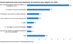 TÜİK: 2023’te Hizmet-Ticaret Sektörünün Enerji Tüketimi 503 Bin 682 Terajul Oldu