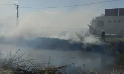 Hatay'daki Sazlık Alanda Çıkan Yangın Kontrol Altına Alındı