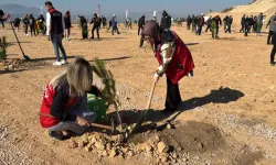 Muğla'da 20 Bin Fidan Dikildi, Yeşil Bir Gelecek İçin Adım Atıldı