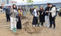 Yıldız Teknik Üniversitesi, 113 Ağaç Dikerek Sürdürülebilir Geleceğe Katkı Sağladı