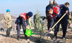 Manisa’da 198 Orman Yangınında 5 Bin 250 Hektar Alan Zarar Gördü, 1600 Fidan Toprakla Buluştu