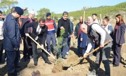 Serik’te 11 Kasım Milli Ağaçlandırma Günü Etkinliği: 27 Bin 500 Fidan Toprakla Buluştu