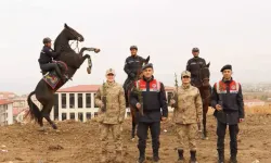 Van'da Jandarma Ekiplerinden Vatandaşlarla Fidan Dikimi Etkinliği