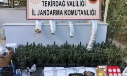 Tekirdağ'da Skunk Yetiştiren Şüpheli Evinde Yakalandı