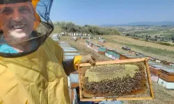 Samsun’da Yetiştirdiği Kestane Balı İle Ülkesi Bosna Hersek’te Altın Madalya Kazandı