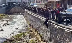 Bitlis'te Dereye Düşen Keklik Mahalleli Tarafından Kurtarıldı