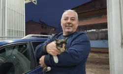 Kaybolduğunu Sandığı Kedi, Otomobilin Kaputunun Altında Bulundu