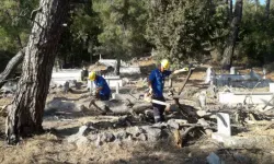 Muğla Büyükşehir Belediyesi, Mezarlıklardan Çıkan Odunları İhtiyaç Sahiplerine Dağıtıyor