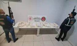 Dilucu Gümrük Kapısı'nda 50 Kilo Uyuşturucu Ele Geçirildi, TIR Sürücüsü Gözaltına Alındı