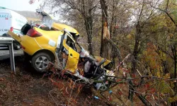 Manisa'da Ağaca Çarpan Taksideki Yolcu Hayatını Kaybetti, Şoför Ağır Yaralandı