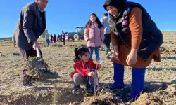 Köyde İçme Suyu Sorunu Çözüldü, Kadınlar Hatıra Ormanı Kurdu