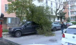 Bakırköy'de Şiddetli Rüzgar Nedeniyle Ağaç Park Halindeki İki Aracın Üzerine Devrildi