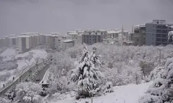 Kar Yağışı Nedeniyle 1 Belde ve 7 Köy Yolu Ulaşıma Kapanmış Durumda