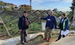 Fırtına Nedeniyle Zarar Gören Seralarda Hasar Tespiti Yapıldı