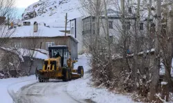 Van'da Kapanan 158 Mahalle ve Mezra Yolu Ulaşıma Açıldı