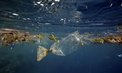 Okyanuslardaki Plastik Kirliliği: Sorun ve Çözüm Önerileri