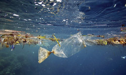 Denizlerde Mikroplastik Kirliliği Araştırmaları İleri Seviyeye Taşındı