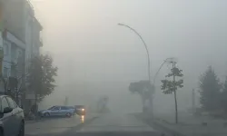 Erbaa’da Yoğun Sis Ulaşımı Olumsuz Etkiliyor