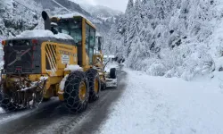 168, Giresun’da 215 Yerleşim Yolu, Kardan Kapandı