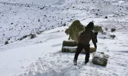 Yaban Hayvanları İçin Kış Hazırlıkları Başladı