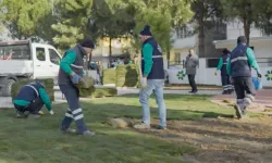 Yeşil Alanlara Yoğun Bakım ve Onarım Çalışmaları