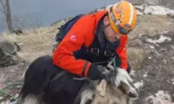 Kayalıkta Mahsur Kalan Keçi, AFAD Ekipleri Tarafından Kurtarıldı