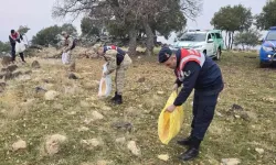 Yaban Hayvanlarına Doğada Yem Bırakıldı