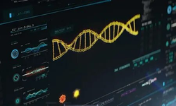 DNA Analizi ile Tarihin Yeniden Yazılması