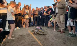 Caretta Caretta 'Cumhuriyet' 2 Ayda 2 Bin Kişiyi Etkiledi